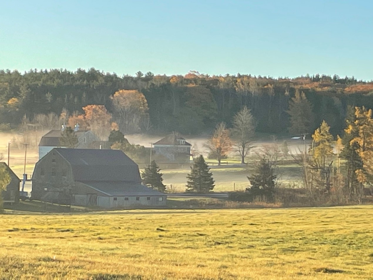 Field and Barn