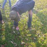 Citizen Science: Community STEMs here