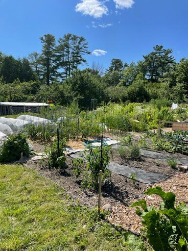 Maine garden